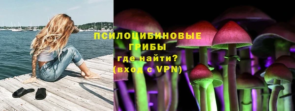 каннабис Тайга