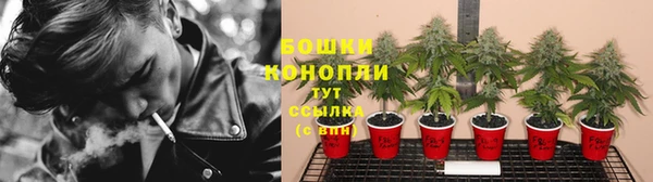 крисы Верея