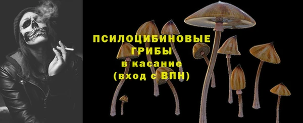 крисы Верея