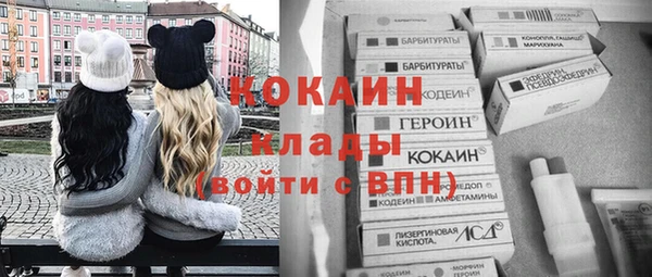 крисы Верея
