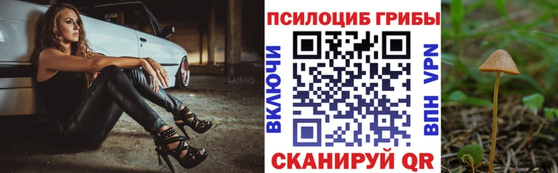 darknet телеграм  Калязин  Псилоцибиновые грибы прущие грибы  дарнет шоп 